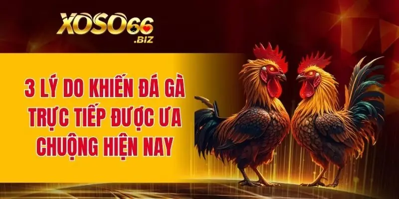 Đá Gà Trực Tiếp - Kịch Tính Và Minh Bạch Trong Năm 2025 2 3 lý do khiến đá gà trực tiếp được ưa chuộng hiện nay